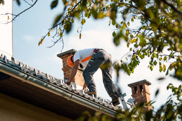 Best New Roof Installation  in Bourbon, MO